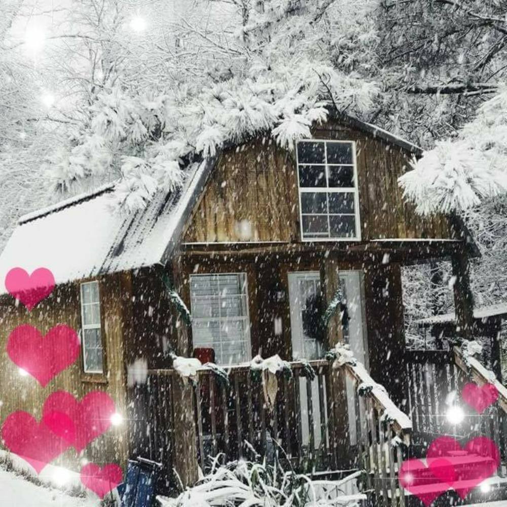 Meet your Posher, Tilly